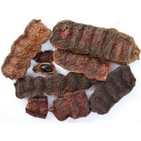 シカカイとヨーグルトをまぜて