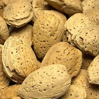 焼いたアーモンドを、、