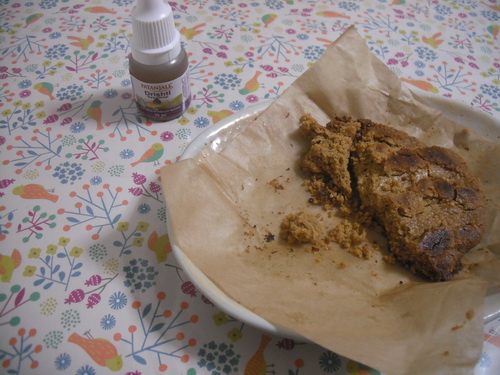 米ぬかベサンクッキーと玉ねぎめぐすり