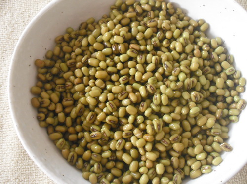 ただ今仕込み中