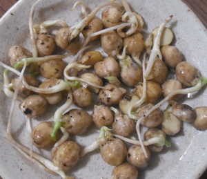 水洗いしましたの図