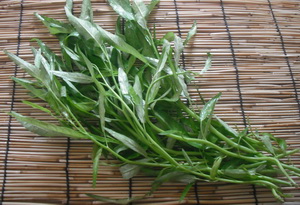 e69cace697a5e381aee58f8ee7a9abefbc9ae7a9bae88aafe88f9c-1