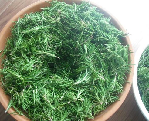 山盛りローズマリー