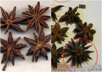 japanese star anise