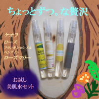 お試し美肌水セット４本