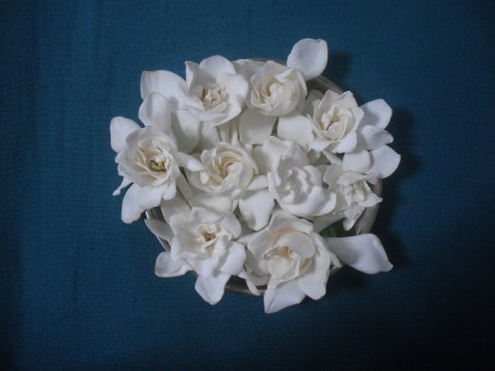 ガーデニア盛り