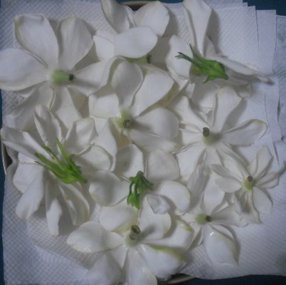 水洗いしてペーパーの上におく