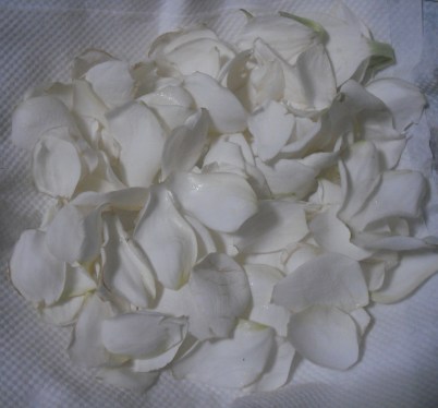 花びらをちぎる