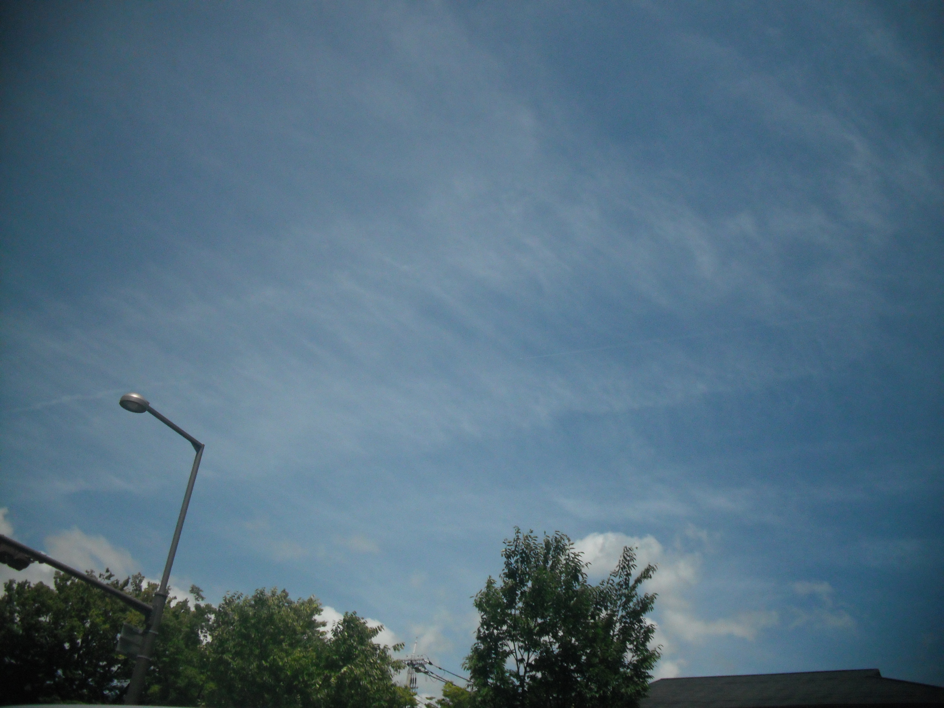 これだけ撒かれてたら… (2)