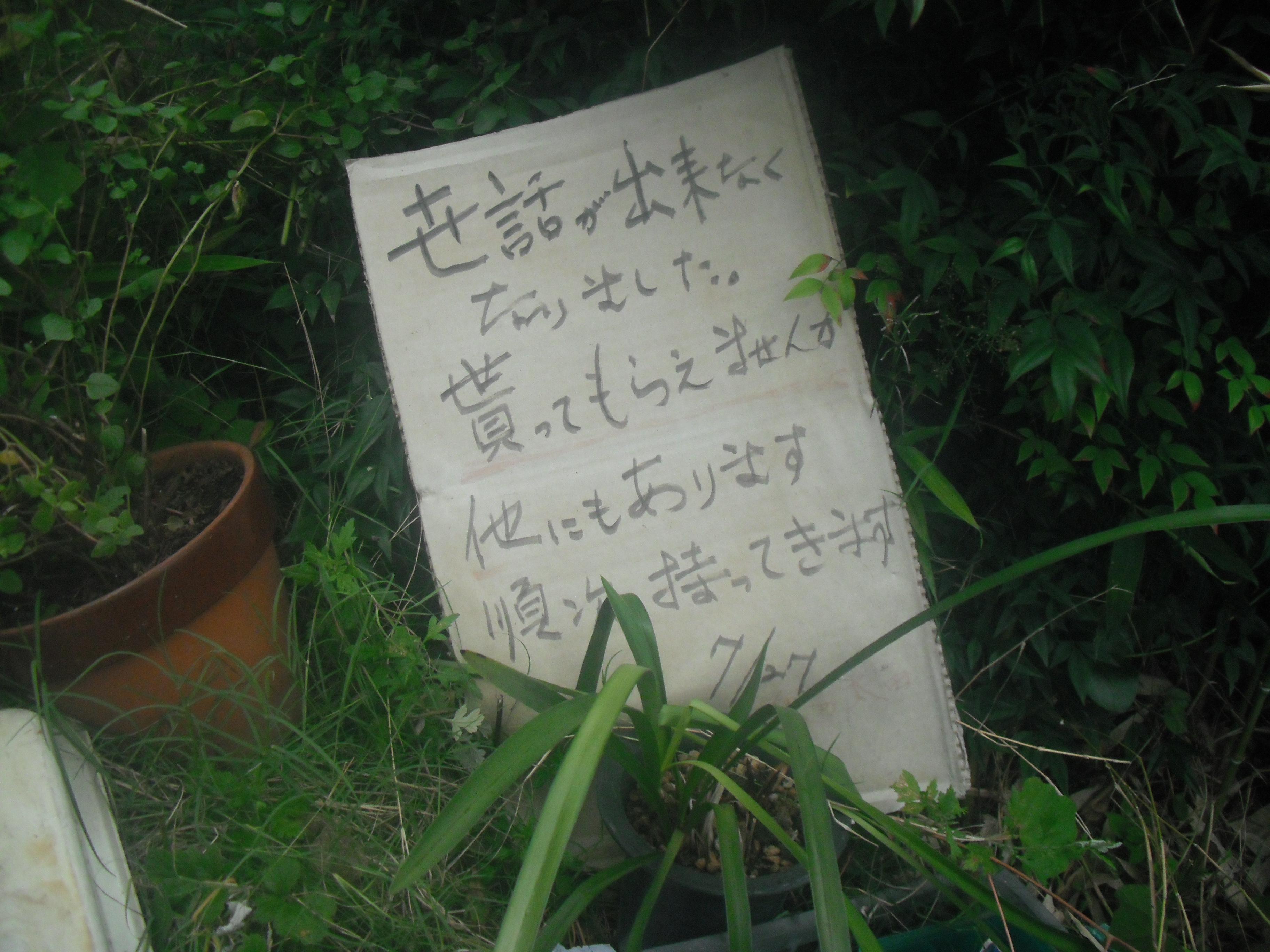 引き取り主募集中