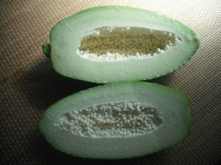 青パパイヤの白い汁