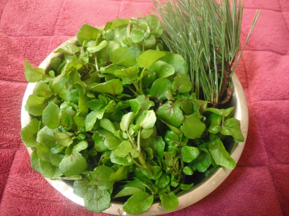 単原子ベジと松葉