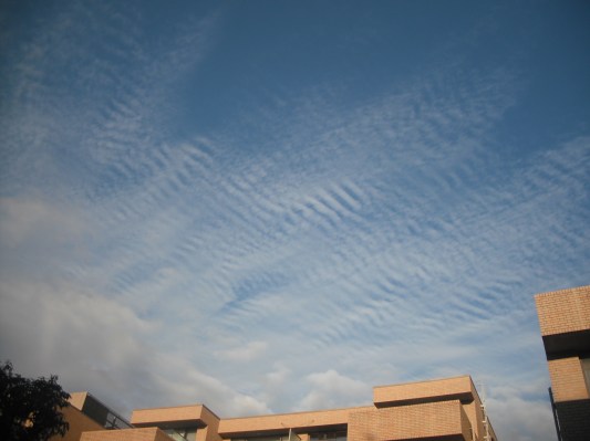 雲が変。その２