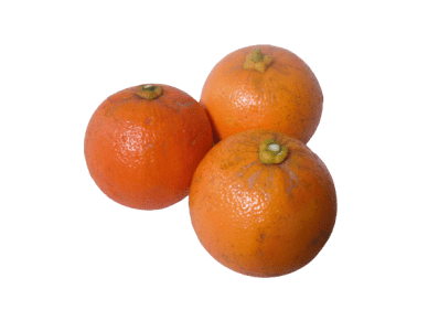 フレッシュだいだい