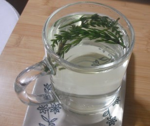 さっそくスギナティー