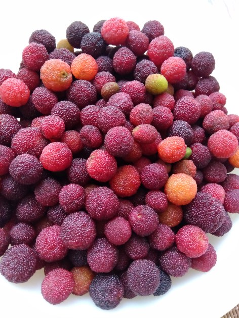 やまももフルーツ