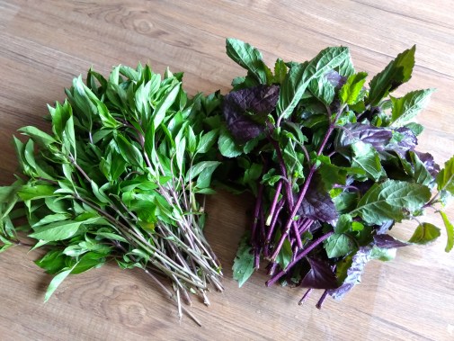 スイートバジルとホリーバジル