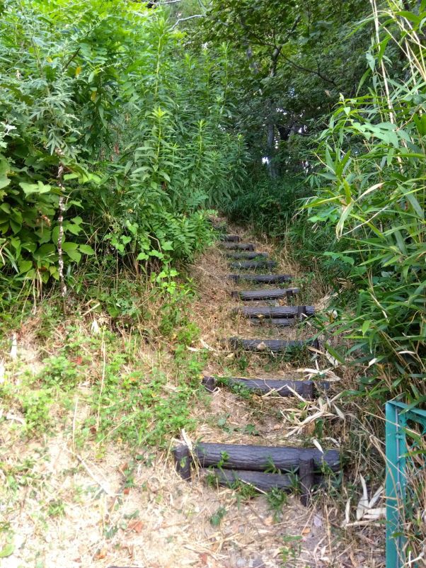 山道あるいてます