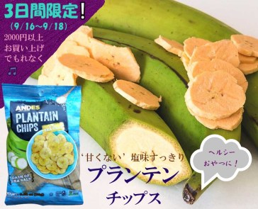 チップスぷれぜんと