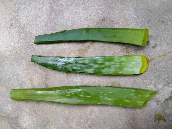 とげとげを切り落とす