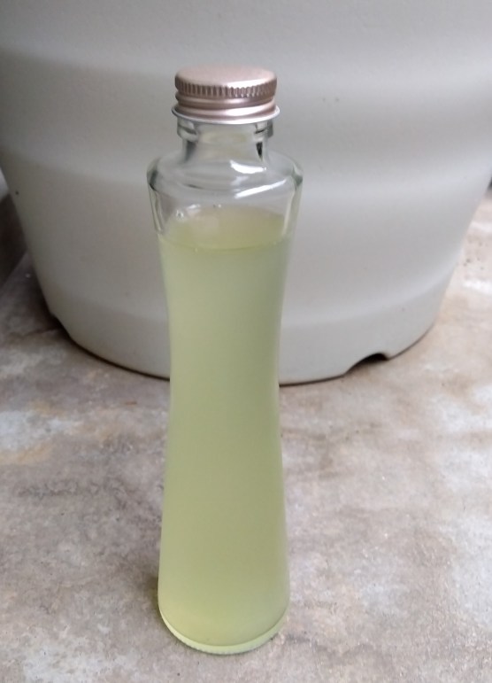 ぷるぷるアロエリキッド