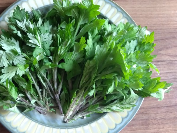 やわらかヨモギでお風呂