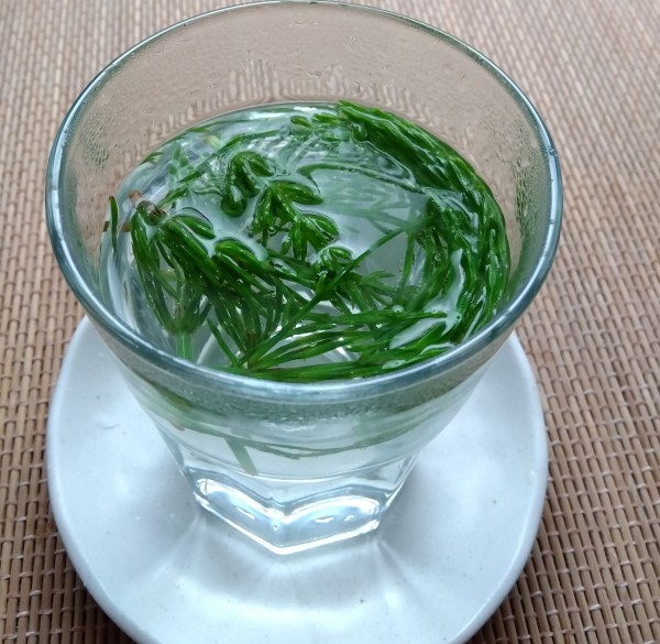 ミネラルたっぷりスギナ茶