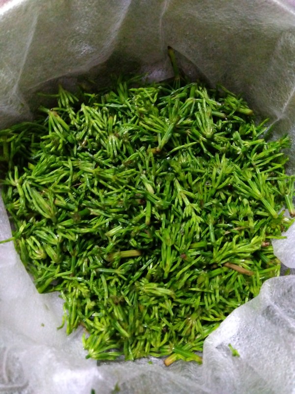 刻みましたの図