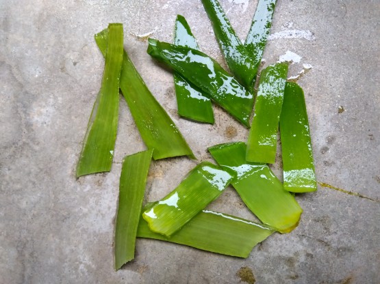 真ん中を真っ二つに切る