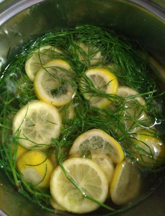 スギナレモンゼリーをつくる