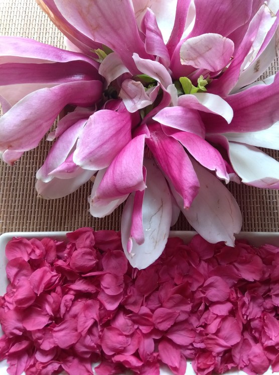 花をつんでみた