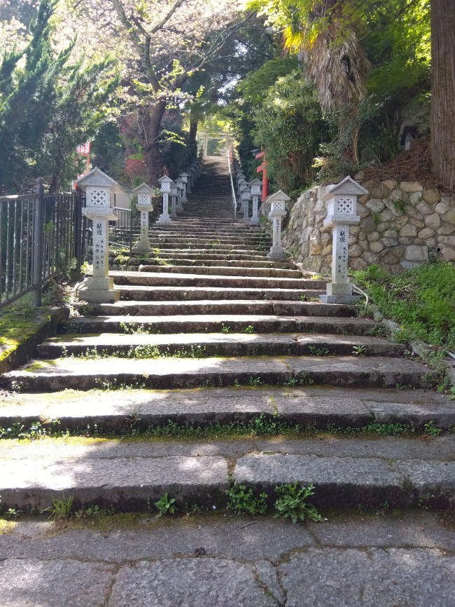 階段上りでほどよくエクサ