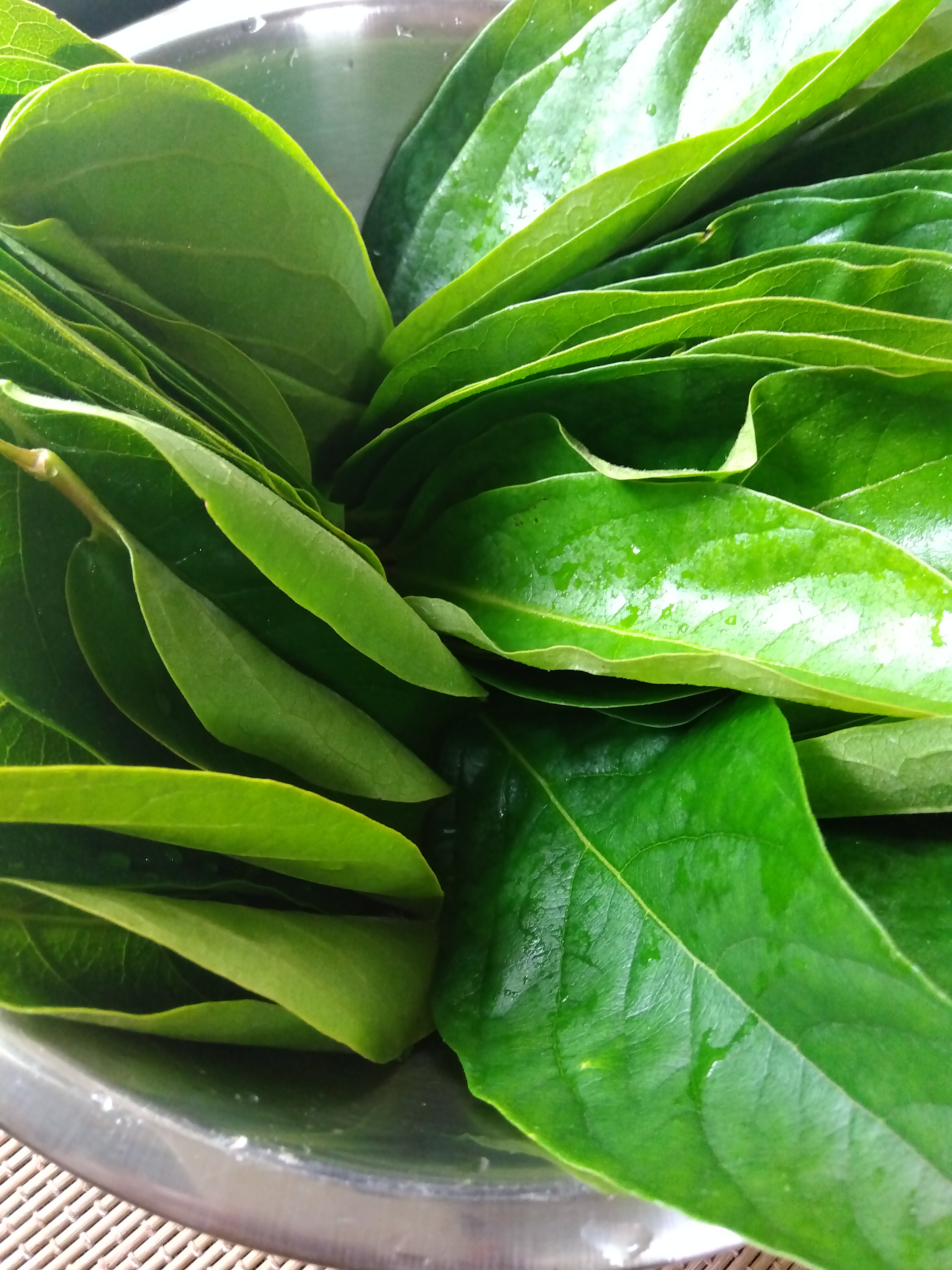 お茶に塩漬けに