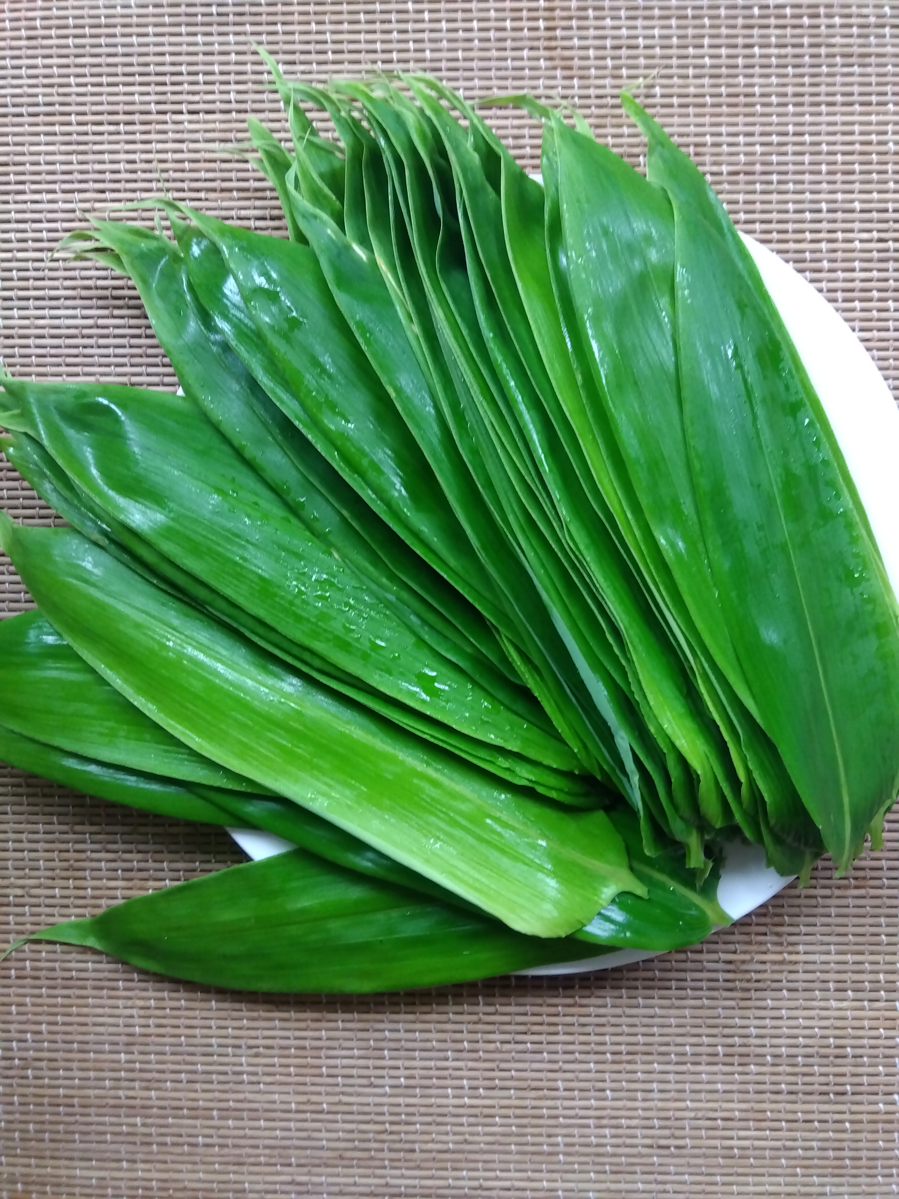 笹の葉で塩漬けづくり