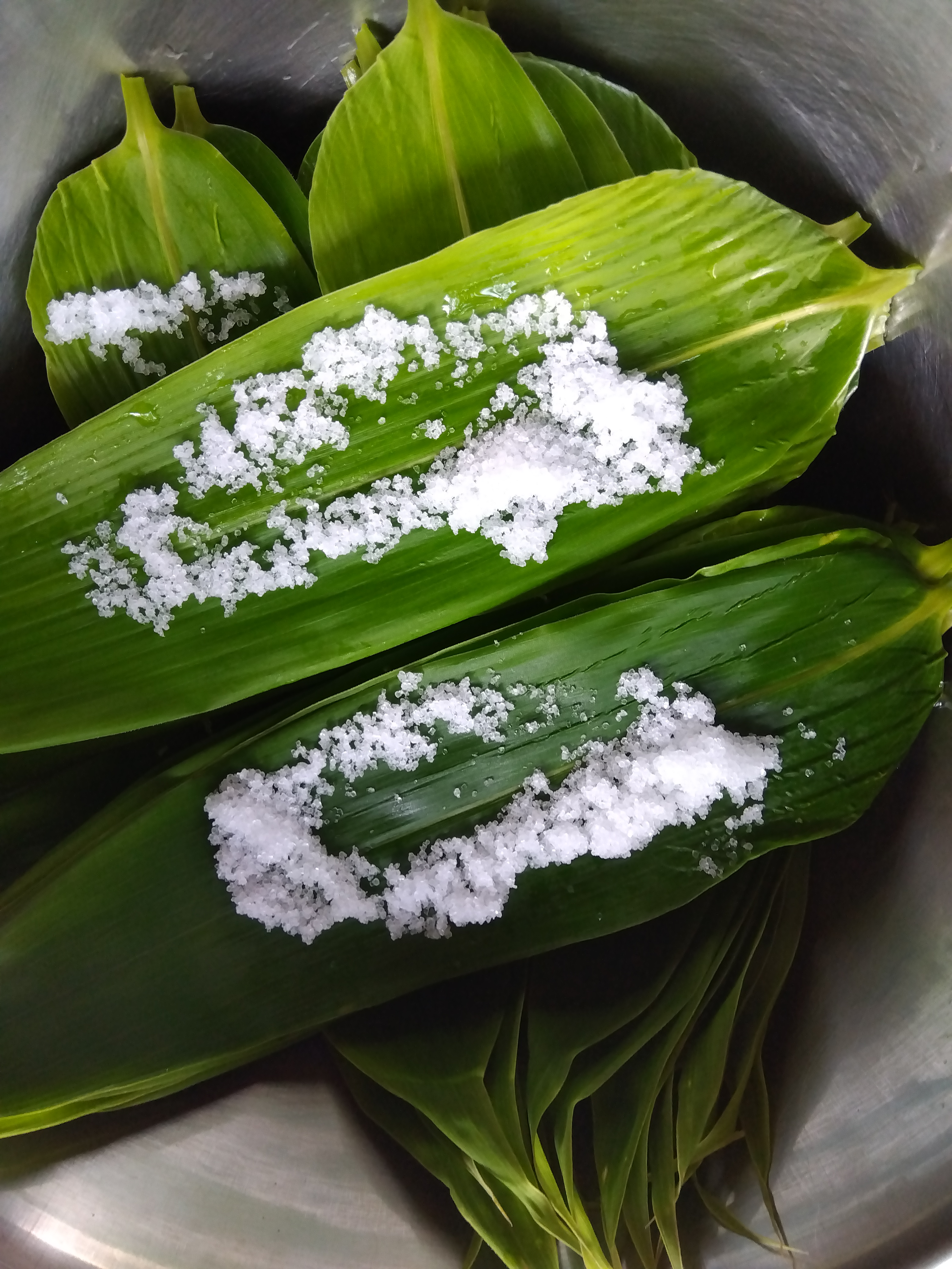 笹の葉も塩漬けキープ