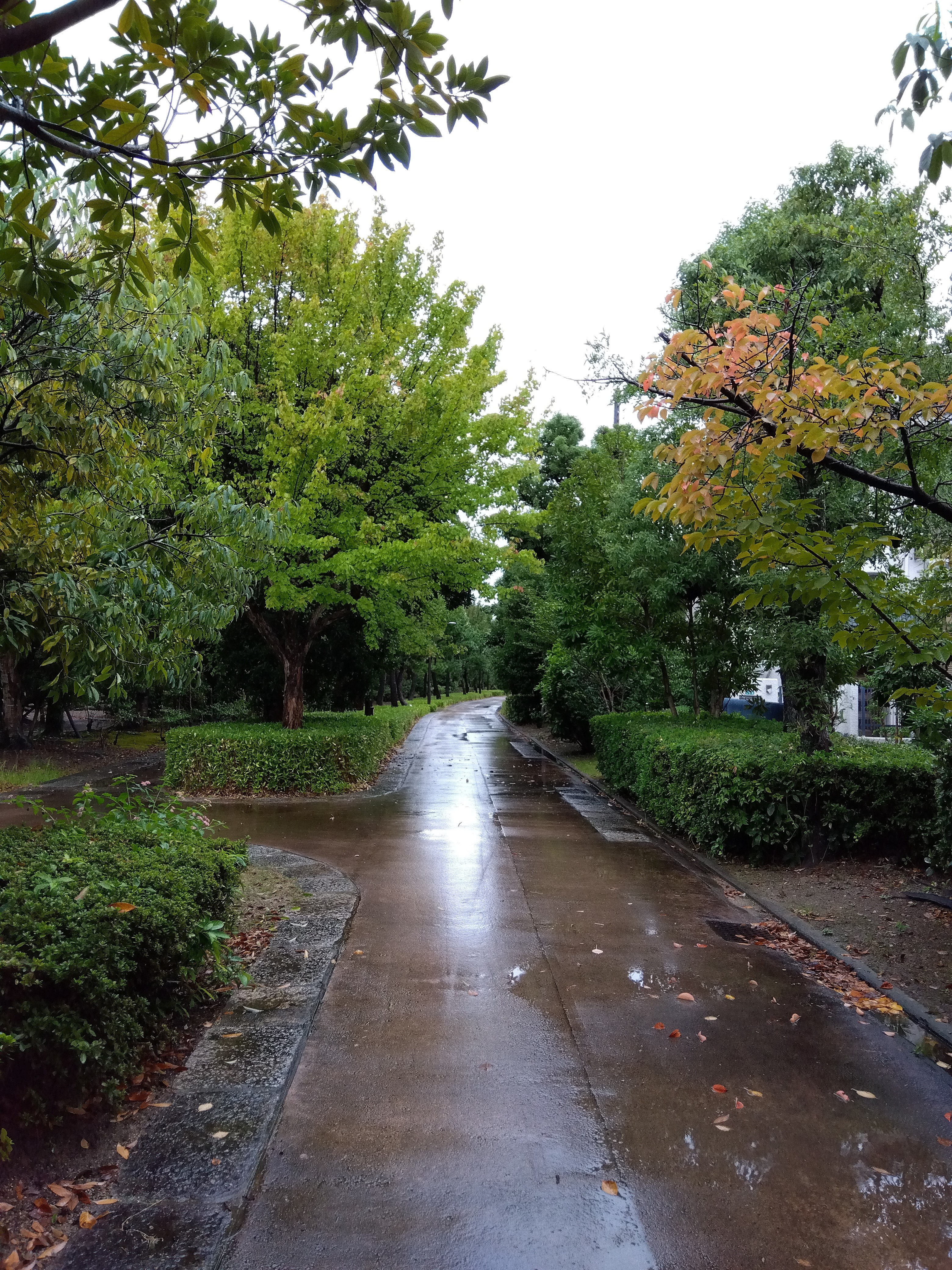 秋っぽい景色１